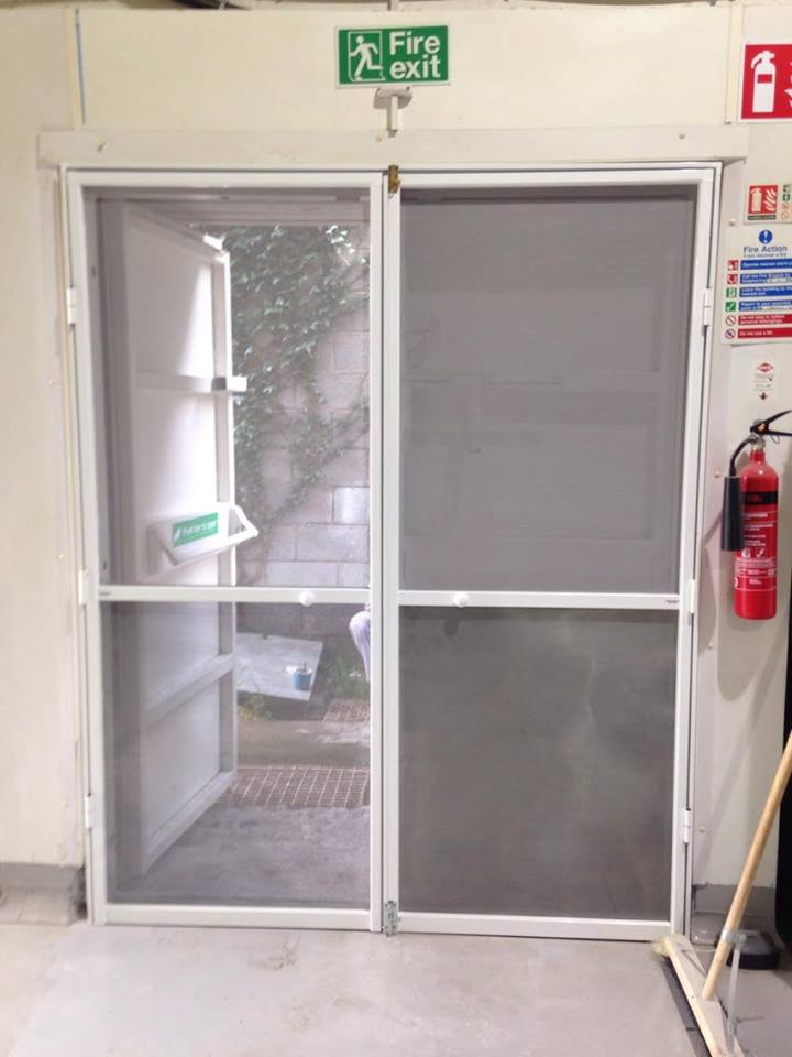 14172051_1311863292187525_354004573_n